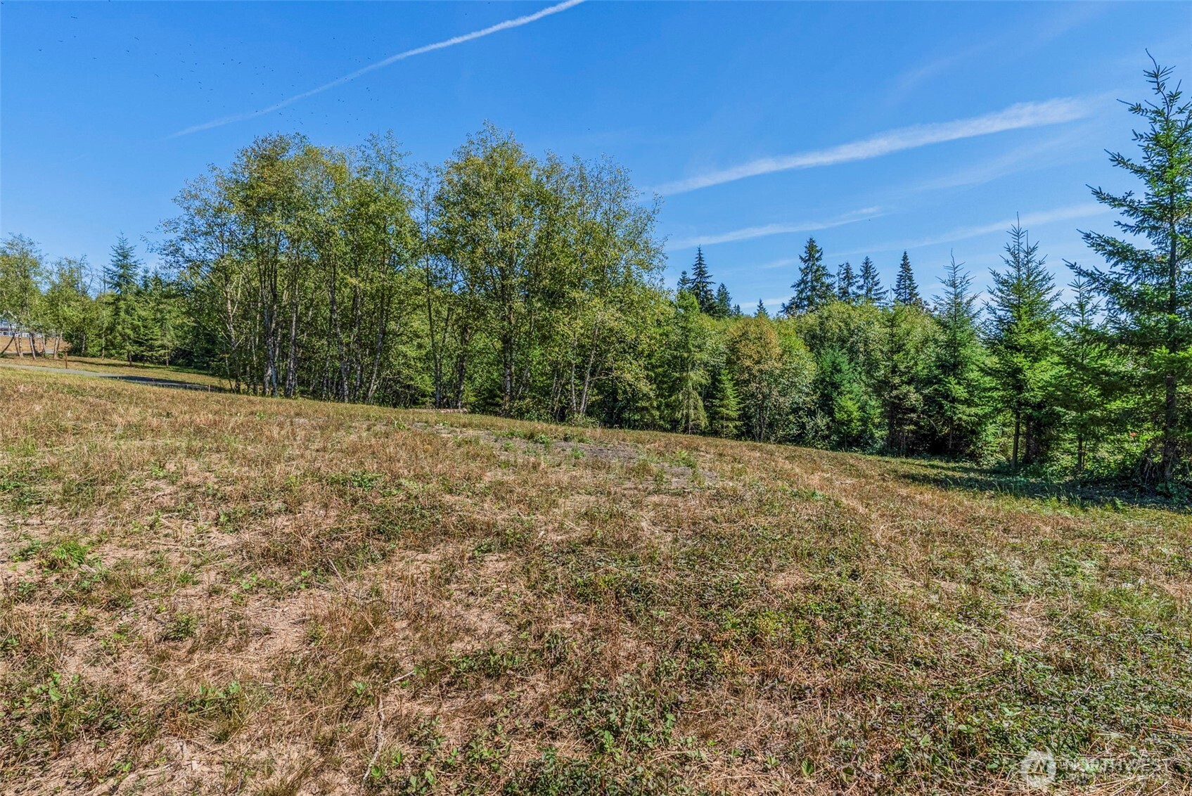 0 Old Tree Farm Drive D Property Photo 4
