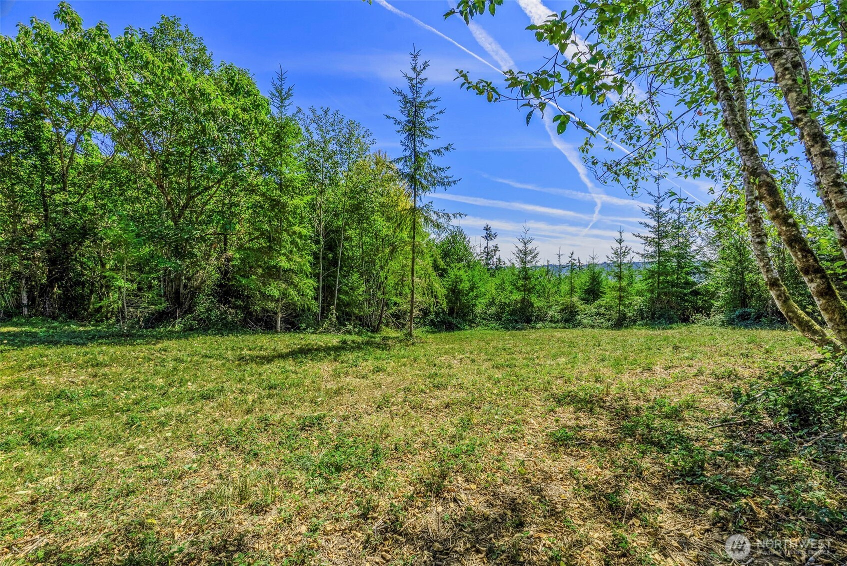 0 Old Tree Farm Drive D Property Photo 8