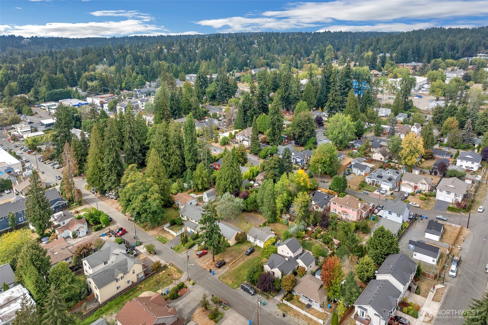 14609 20th Avenue Property Photo 36
