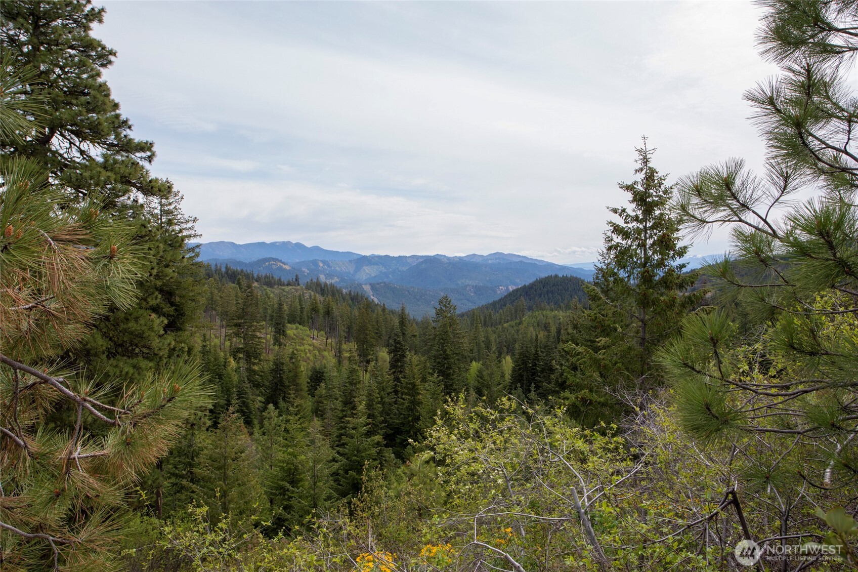 0 Forest Service 6601-550 Rd C Property Photo 1