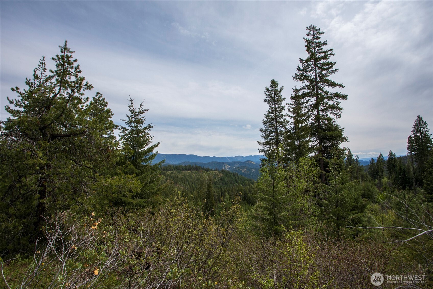 0 Forest Service 6601-550 Rd D Property Photo 1