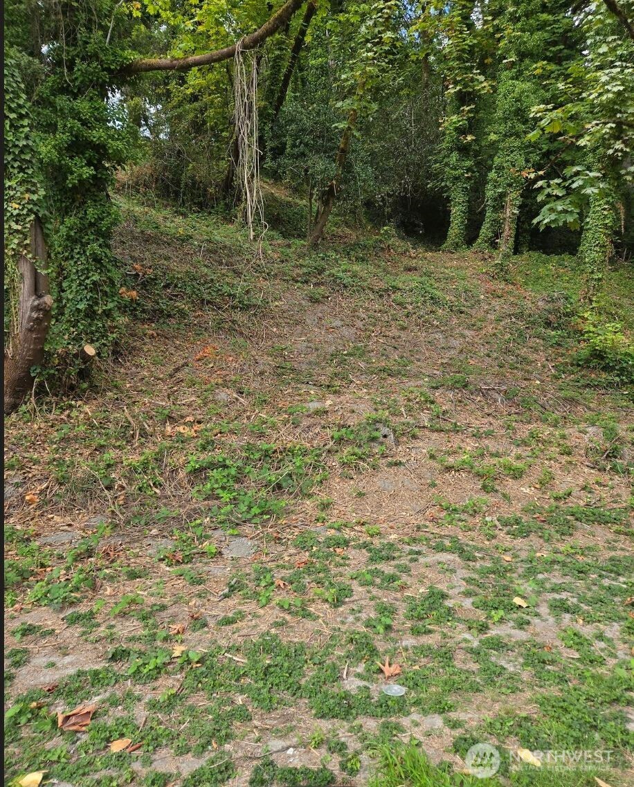 725 Rainier Avenue Property Photo 5