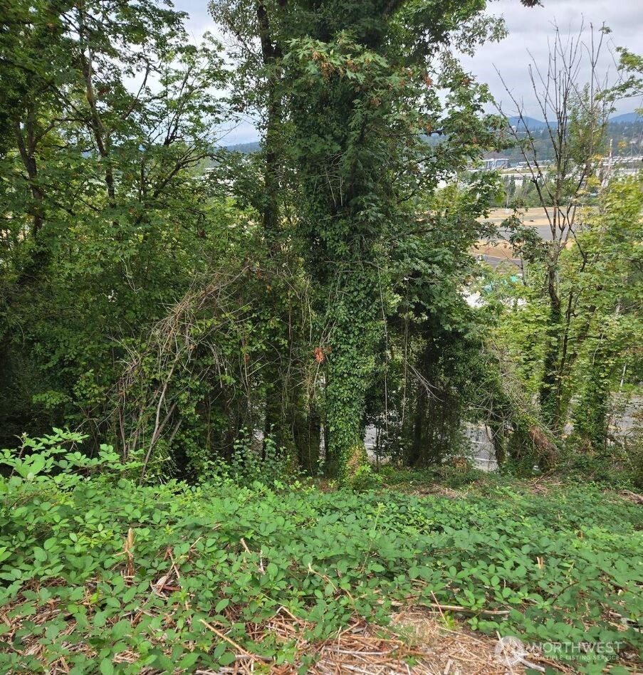 725 Rainier Avenue Property Photo 6
