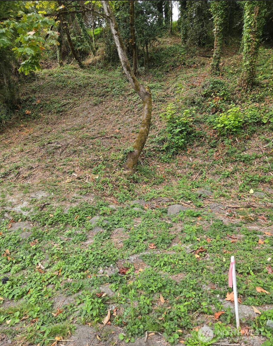 721 Rainier Avenue Property Photo 3