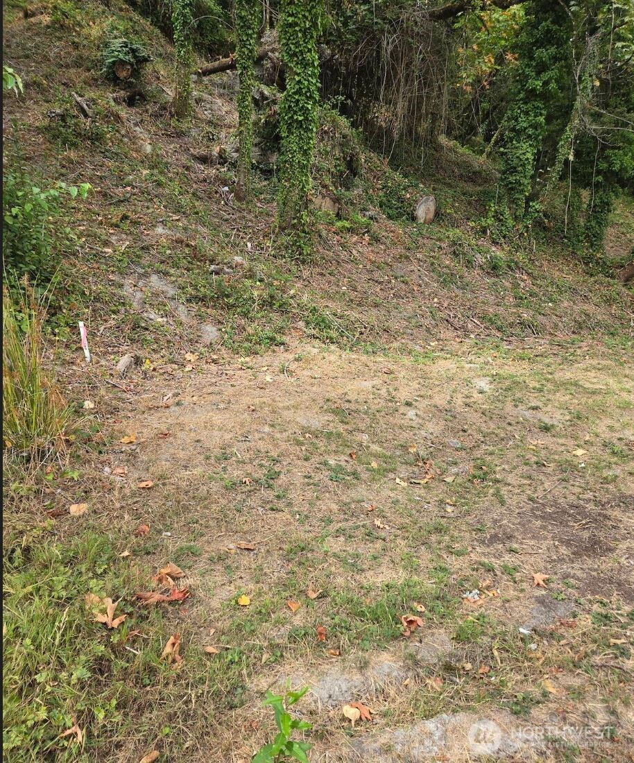721 Rainier Avenue Property Photo 5