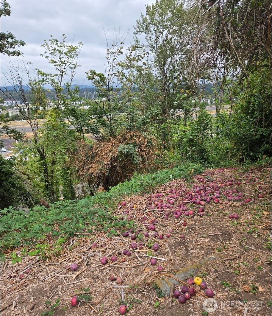 721 Rainier Avenue Property Photo 8
