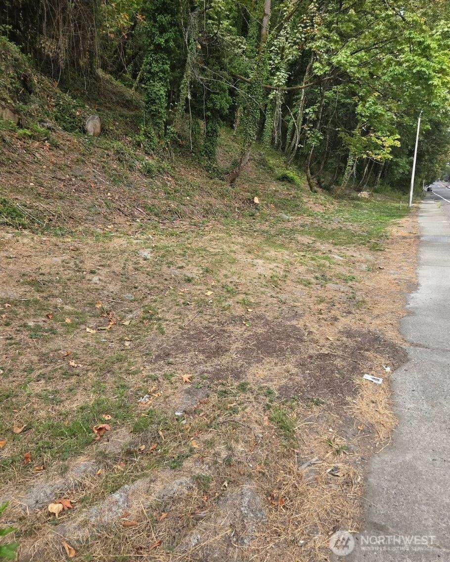 7 Xx Rainier Avenue Property Photo 2