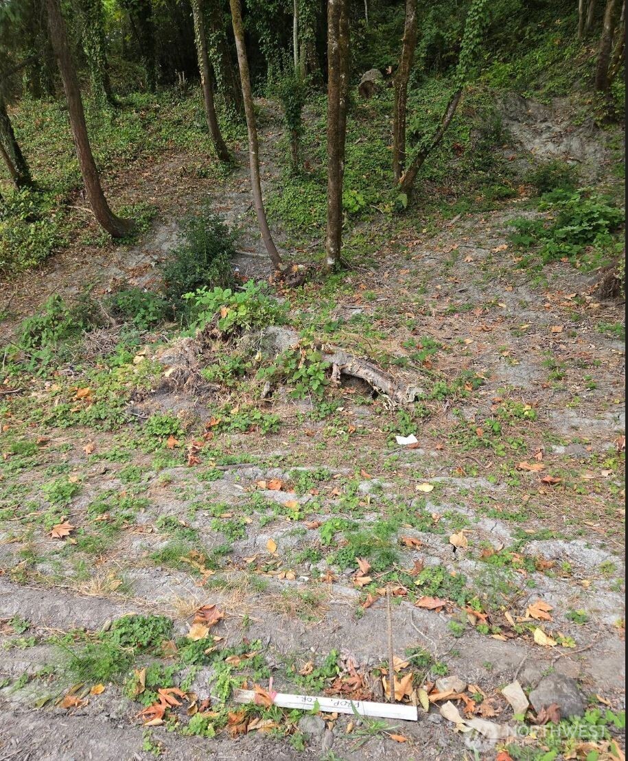 7 Xx Rainier Avenue Property Photo 7