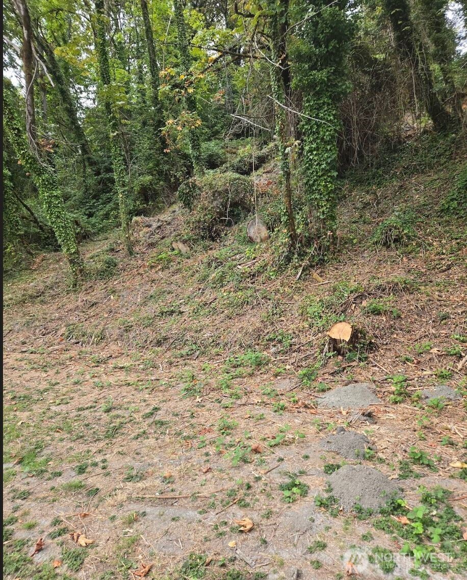 7 Xx Rainier Avenue Property Photo 8