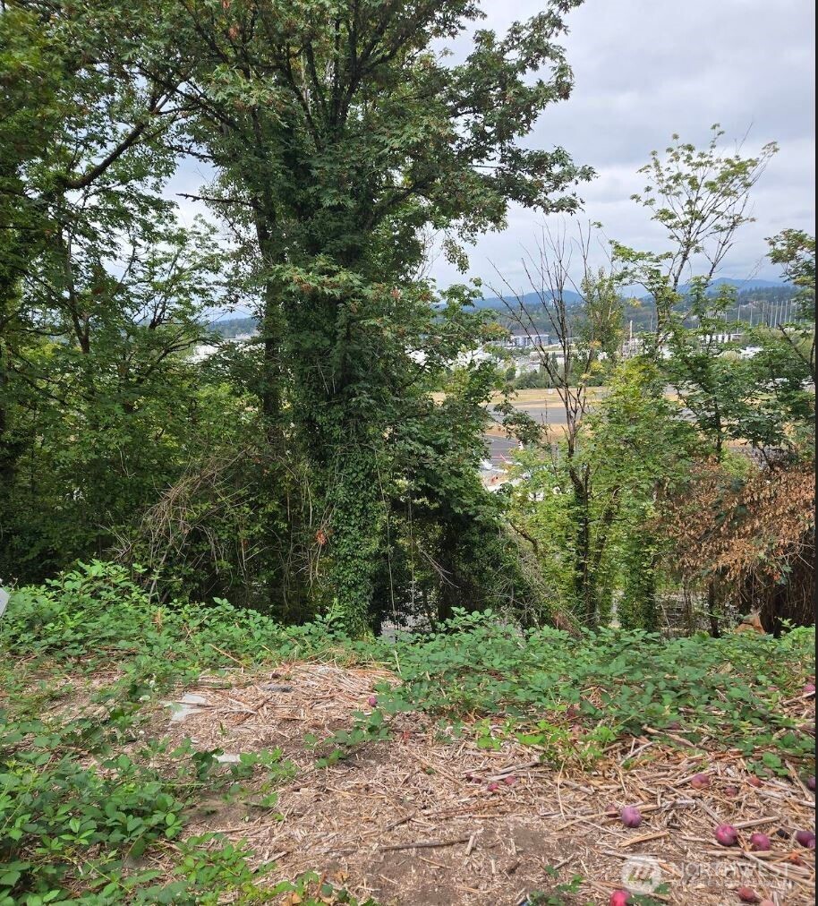 7 Xx Rainier Avenue Property Photo 10