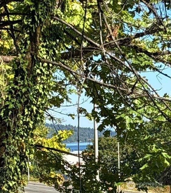 7 Xx Rainier Avenue Property Photo 15