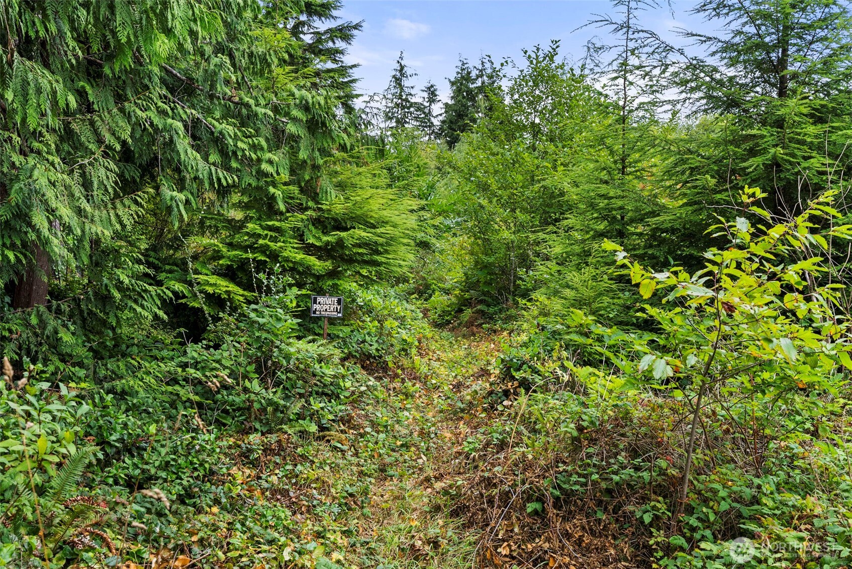 0 Xxx Race Lane Property Photo 8