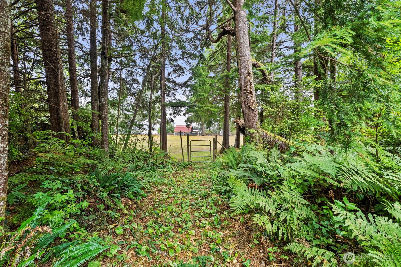 0 Xxx Race Lane Property Photo 10
