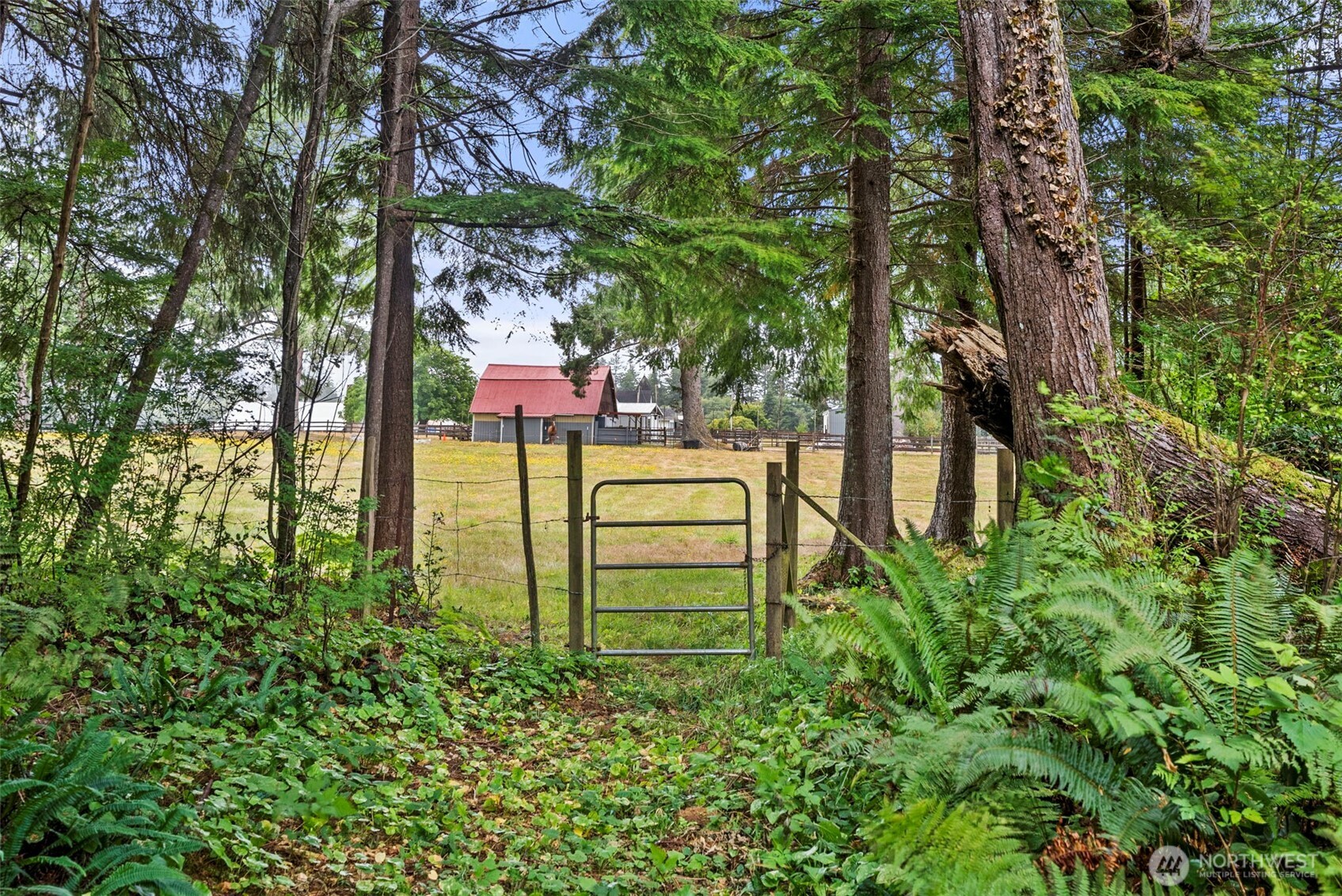 0 Xxx Race Lane Property Photo 11