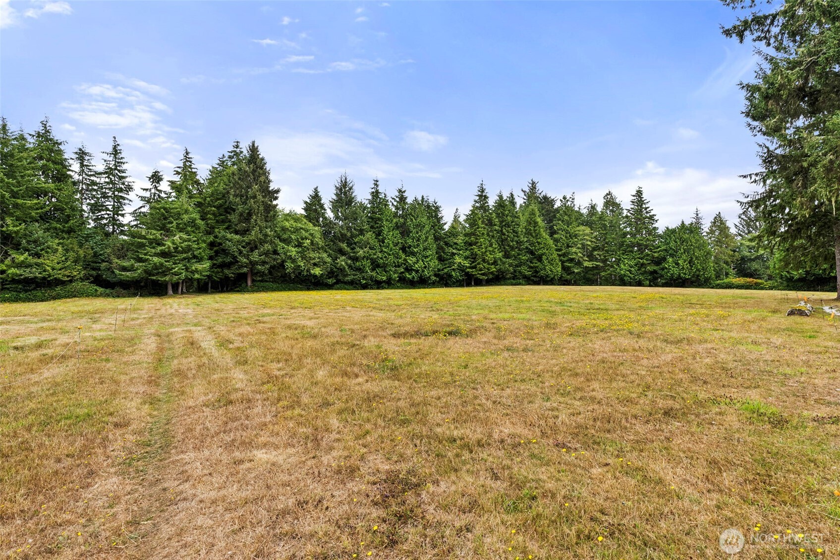 0 Xxx Race Lane Property Photo 18
