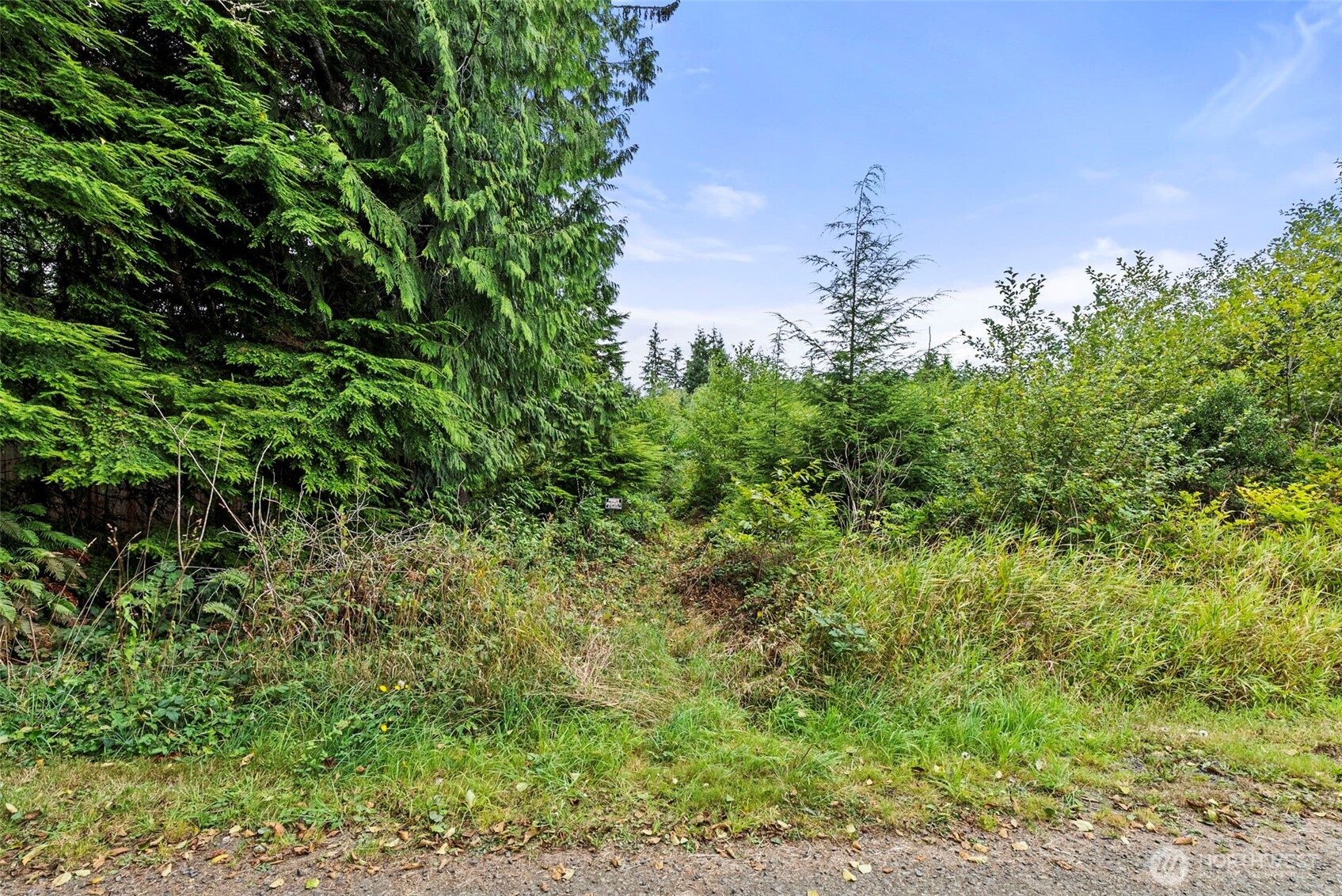 0 Xxx Race Lane Property Photo 29