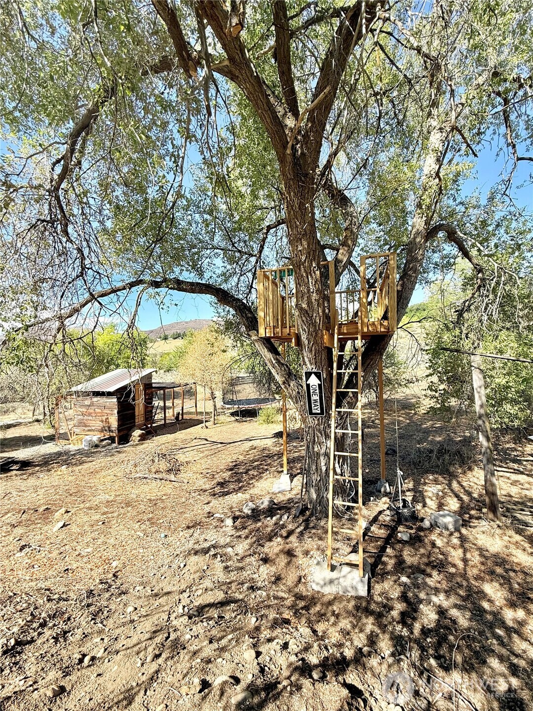 1012 Rodger Street Property Photo 37