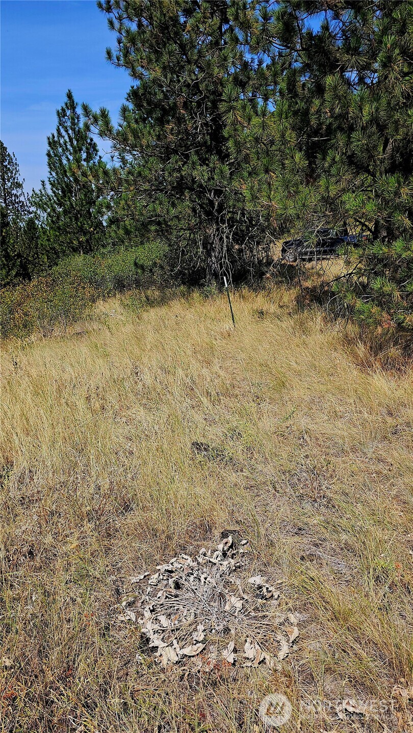 35 Xx Addy Cedonia Road Property Photo 6
