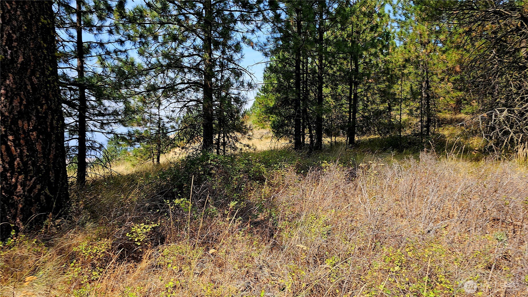 35 Xx Addy Cedonia Road Property Photo 14