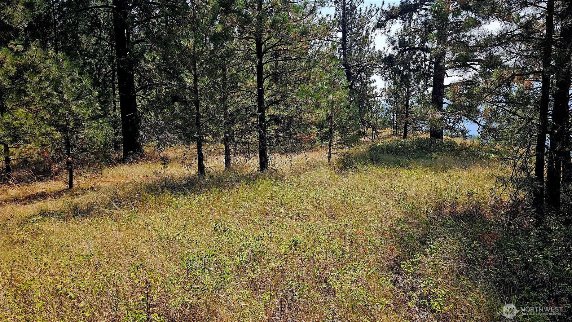 35 Xx Addy Cedonia Road Property Photo 17