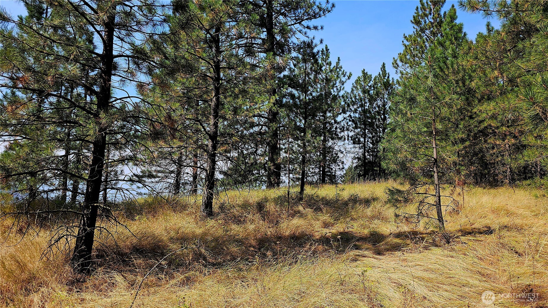 35 Xx Addy Cedonia Road Property Photo 22