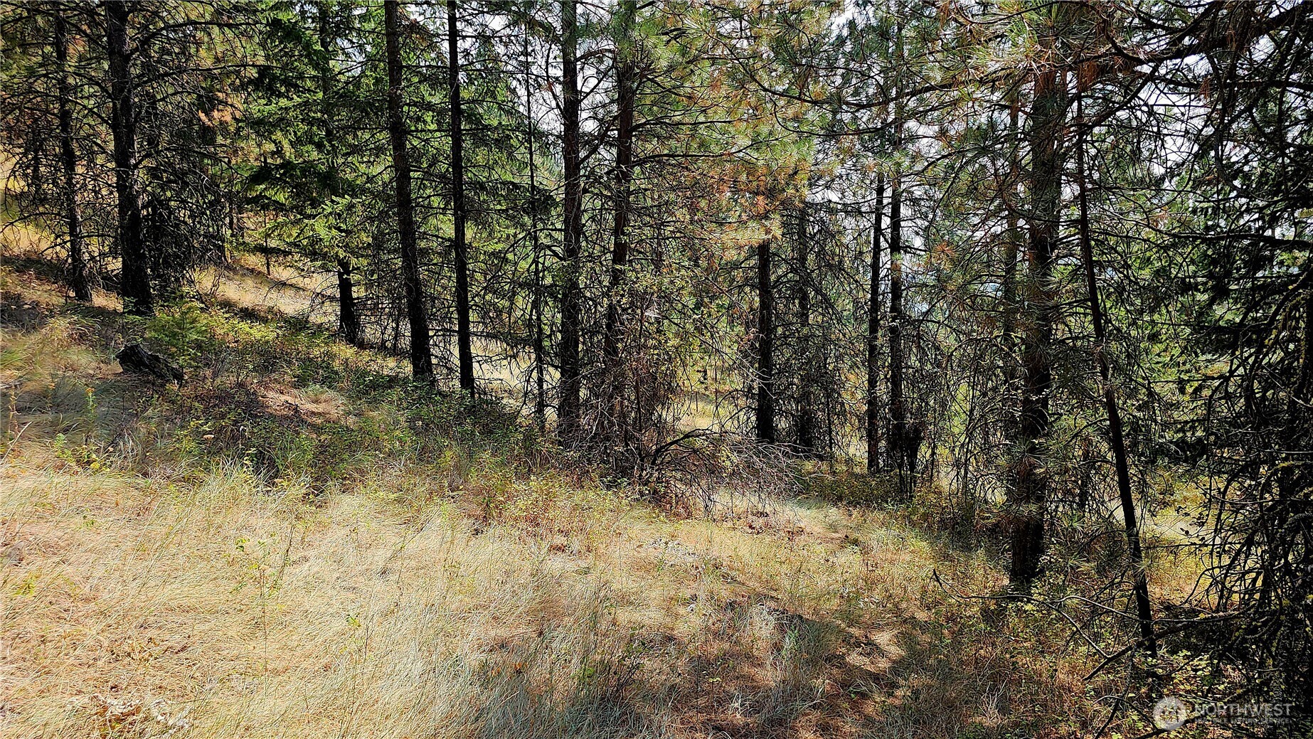 35 Xx Addy Cedonia Road Property Photo 38