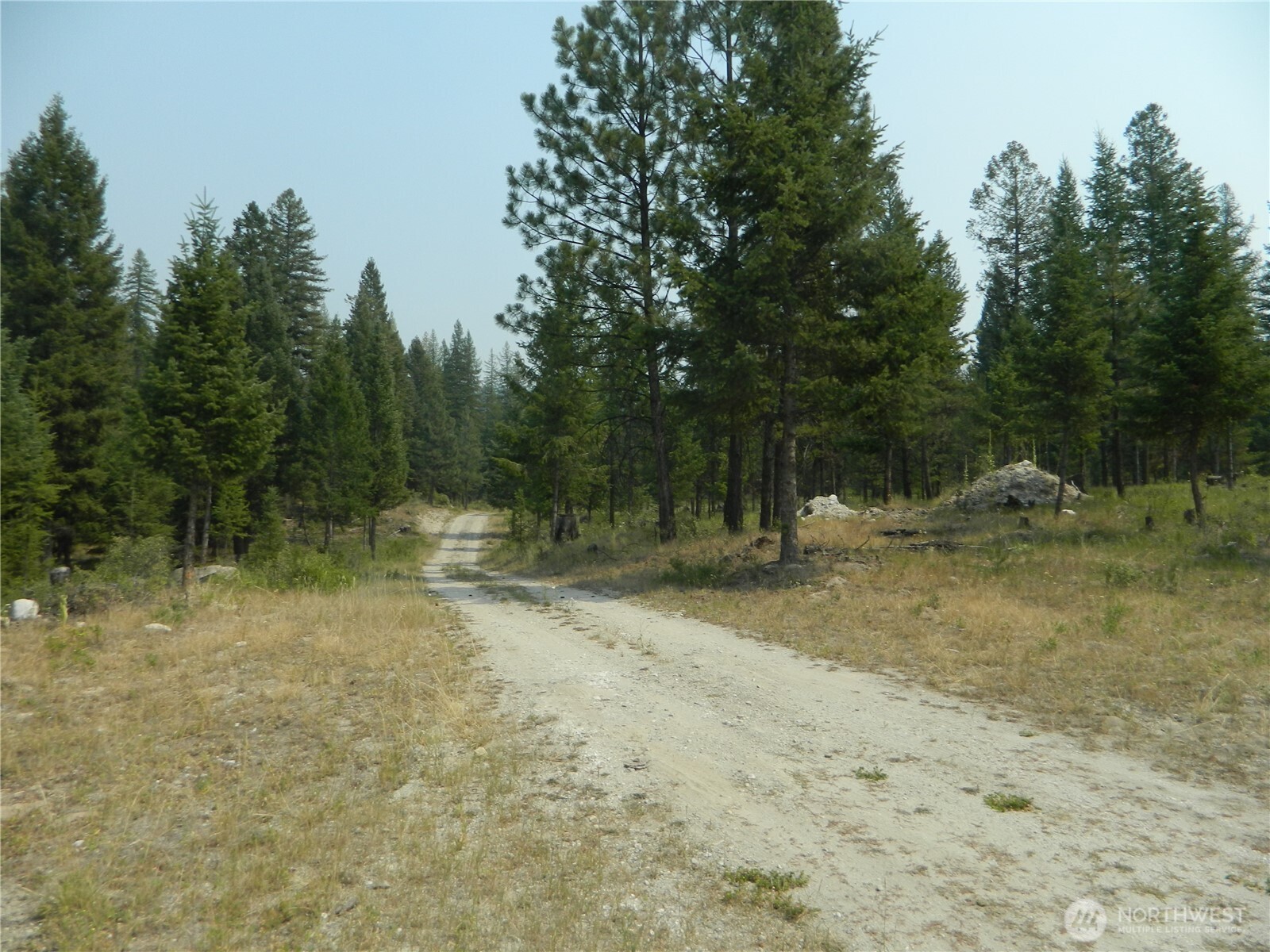 96 Horn Ranch Road Property Photo 6
