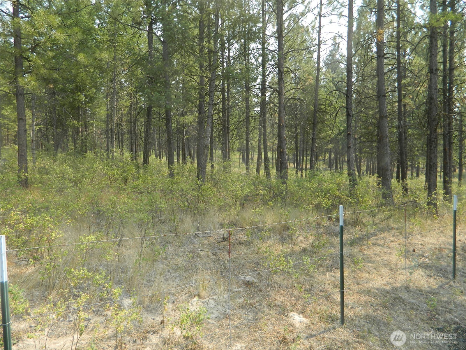 96 Horn Ranch Road Property Photo 27