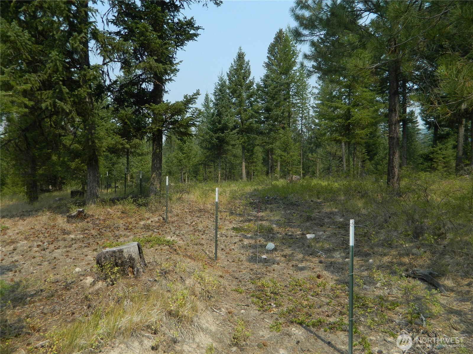 96 Horn Ranch Road Property Photo 28