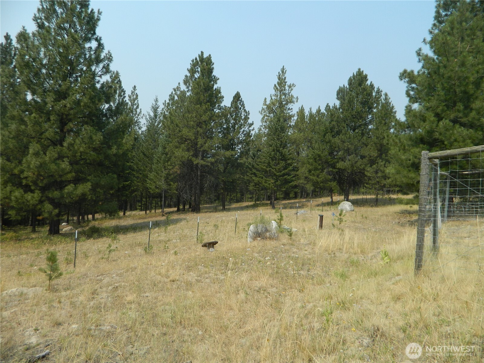 96 Horn Ranch Road Property Photo 30