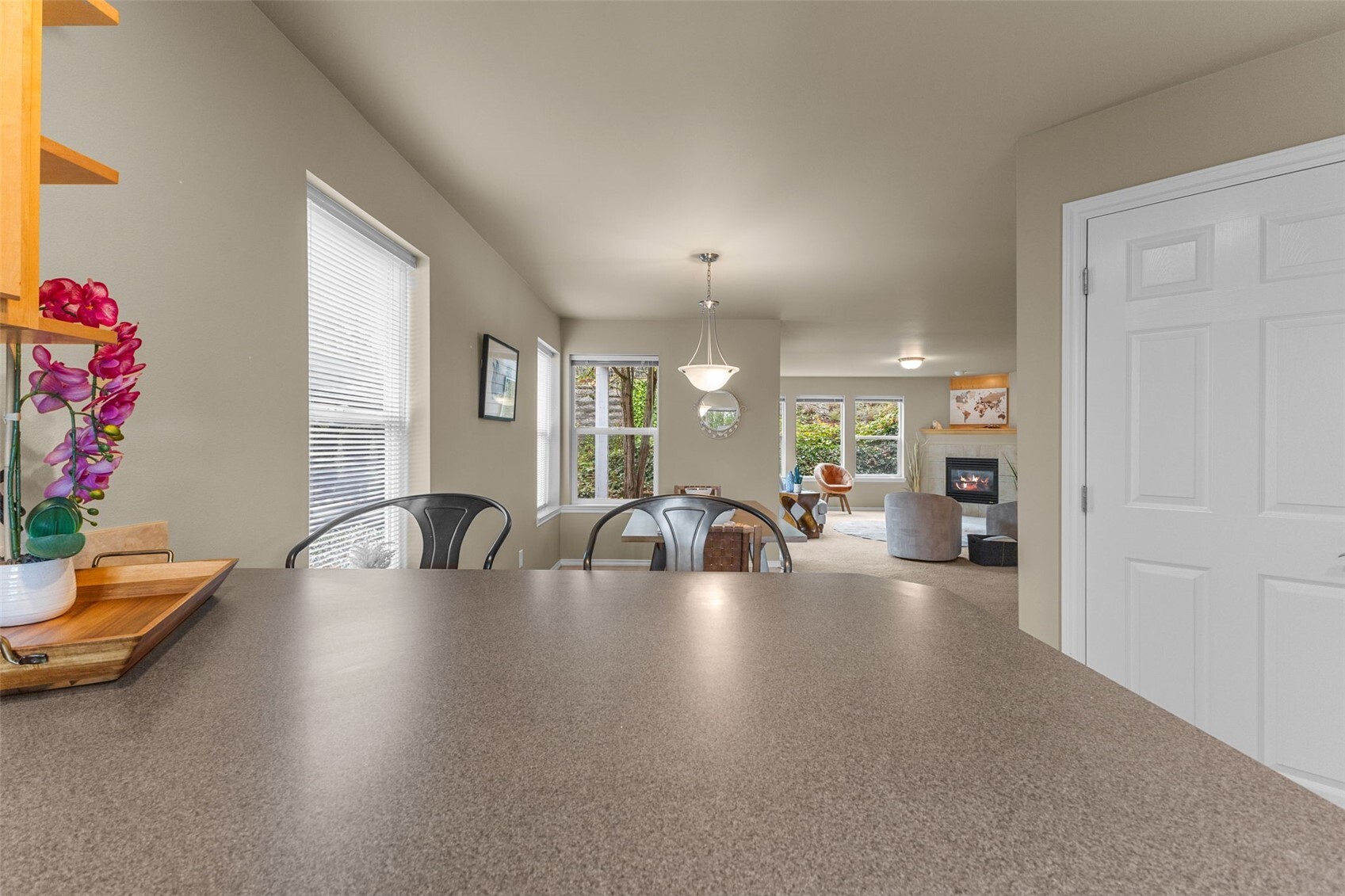 4148 Deemer Road 101 Property Photo 20