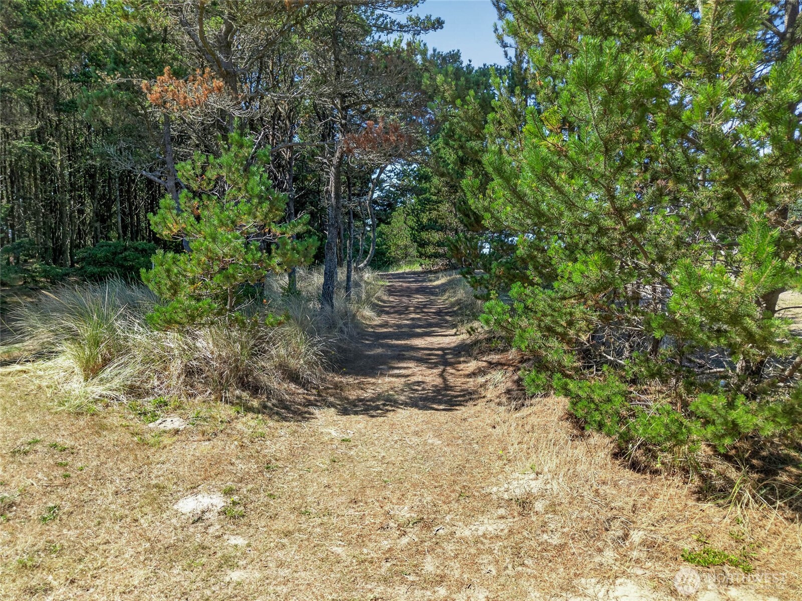 1208 228th Lane Property Photo 6