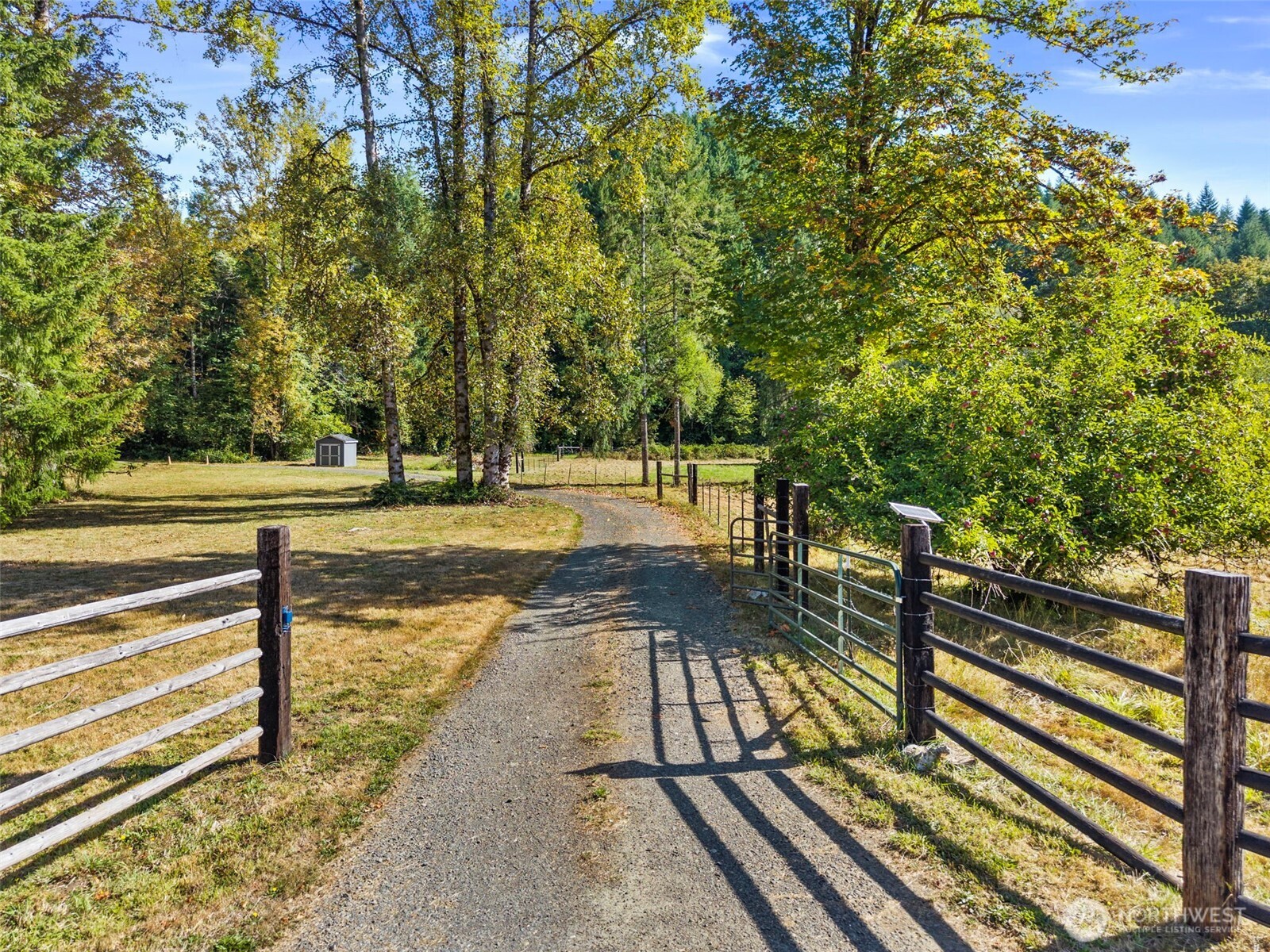 254 Williams Creek Road Property Photo 7