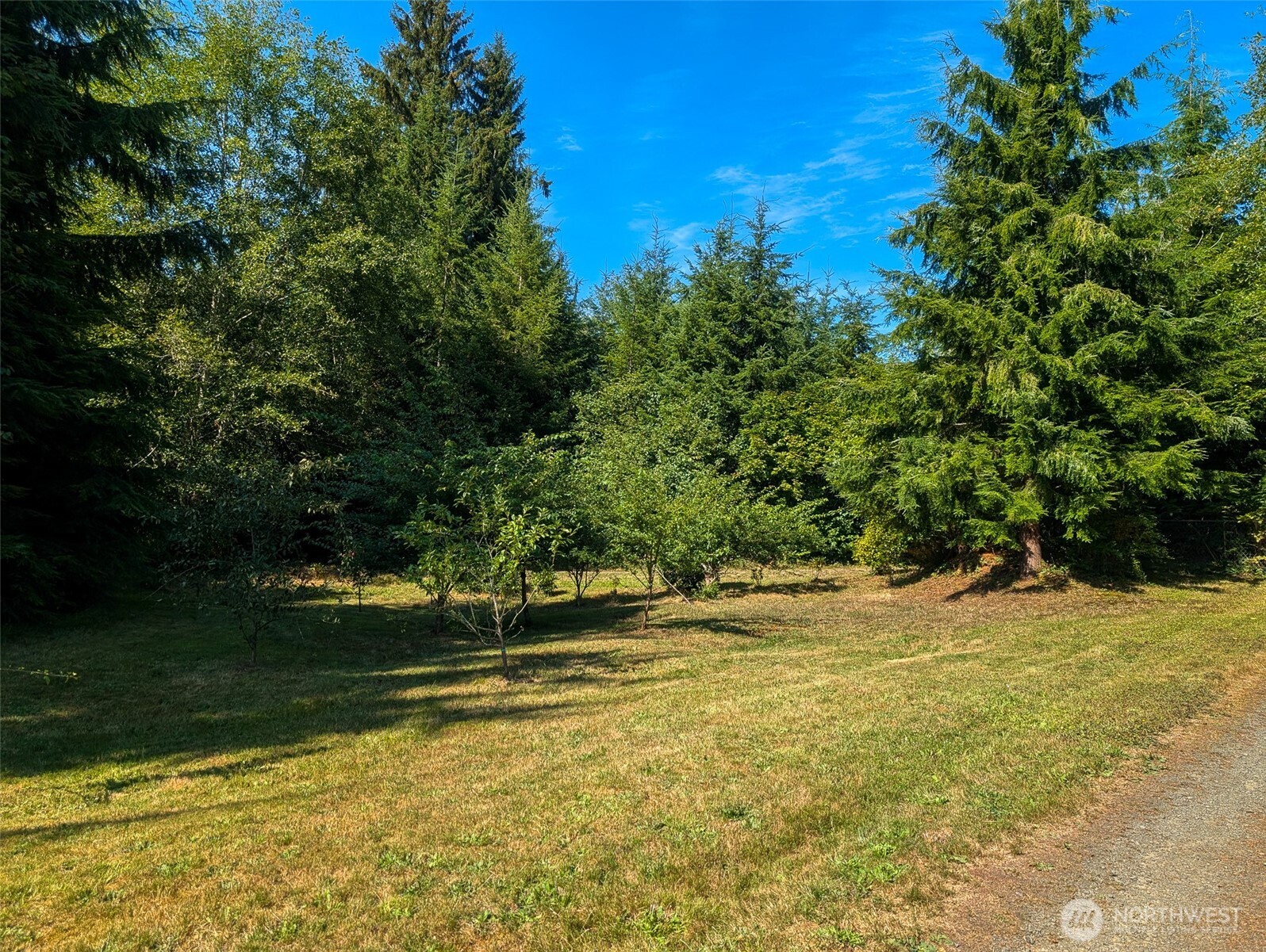 10270 State Route 101 Property Photo 2