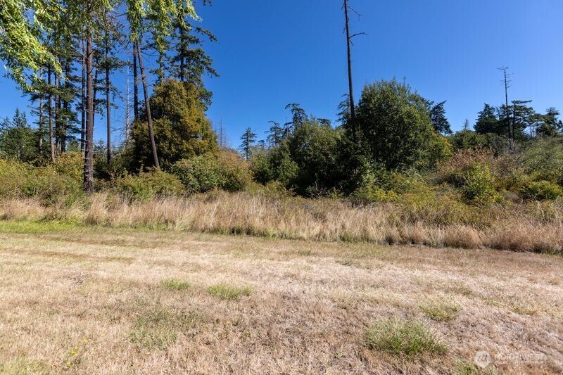 1650 Douglas Road 24 Property Photo 7