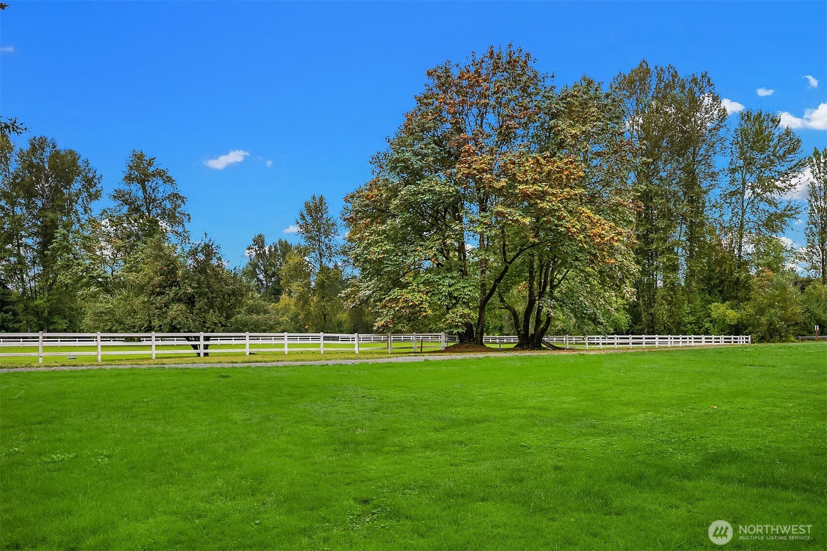14738 Bear Creek Road Property Photo 38