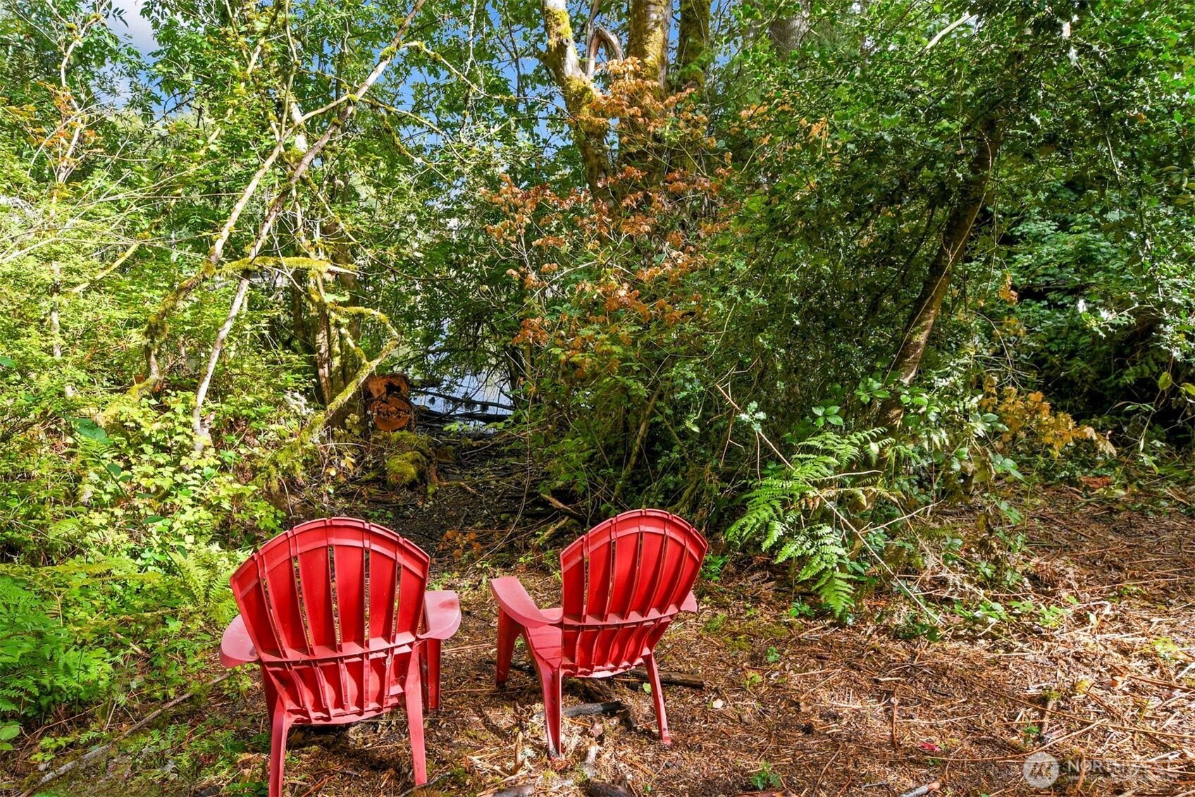 6309 207th Avenue Property Photo 35