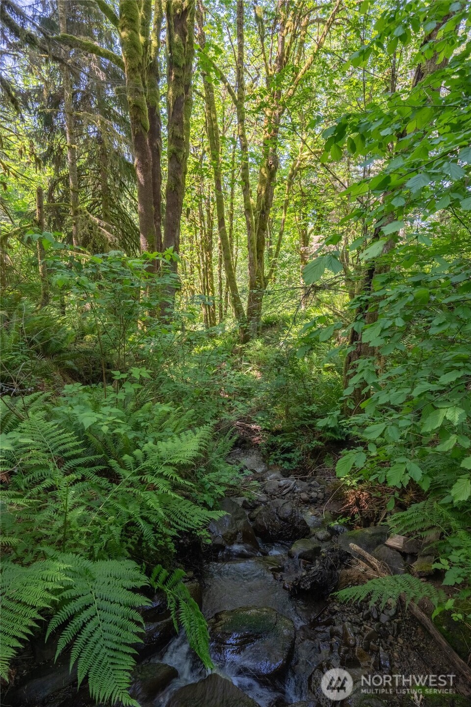 8574 Mount Baker Highway Property Photo 24