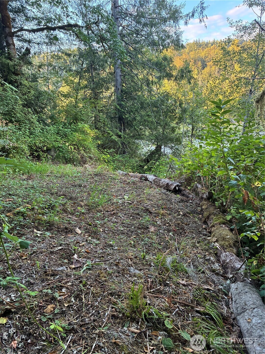 3 Mt. Index River Road Property Photo 3