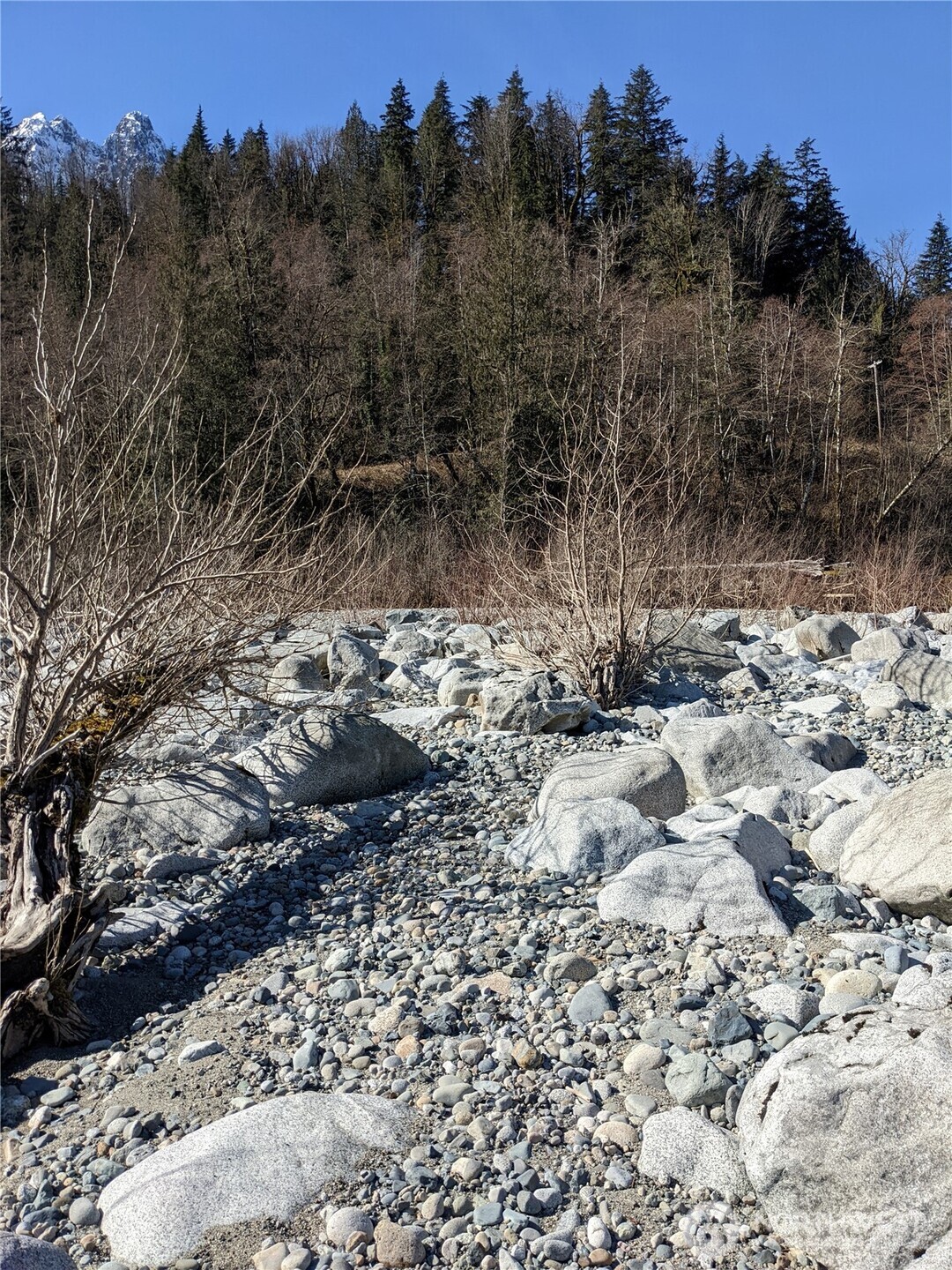 3 Mt. Index River Road Property Photo 7