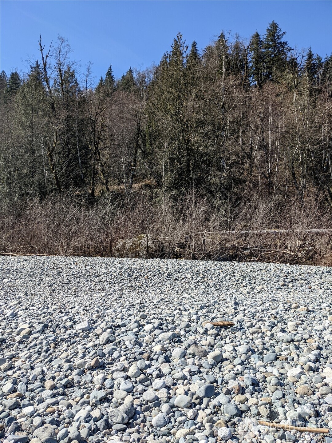 3 Mt. Index River Road Property Photo 8