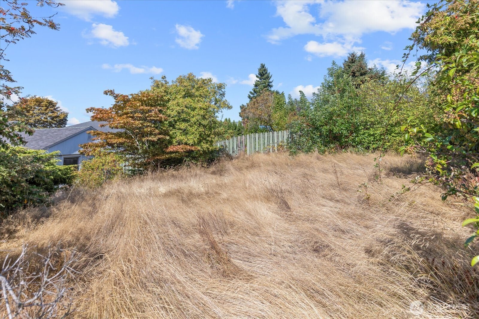 12286 Shorewood Drive Property Photo 33