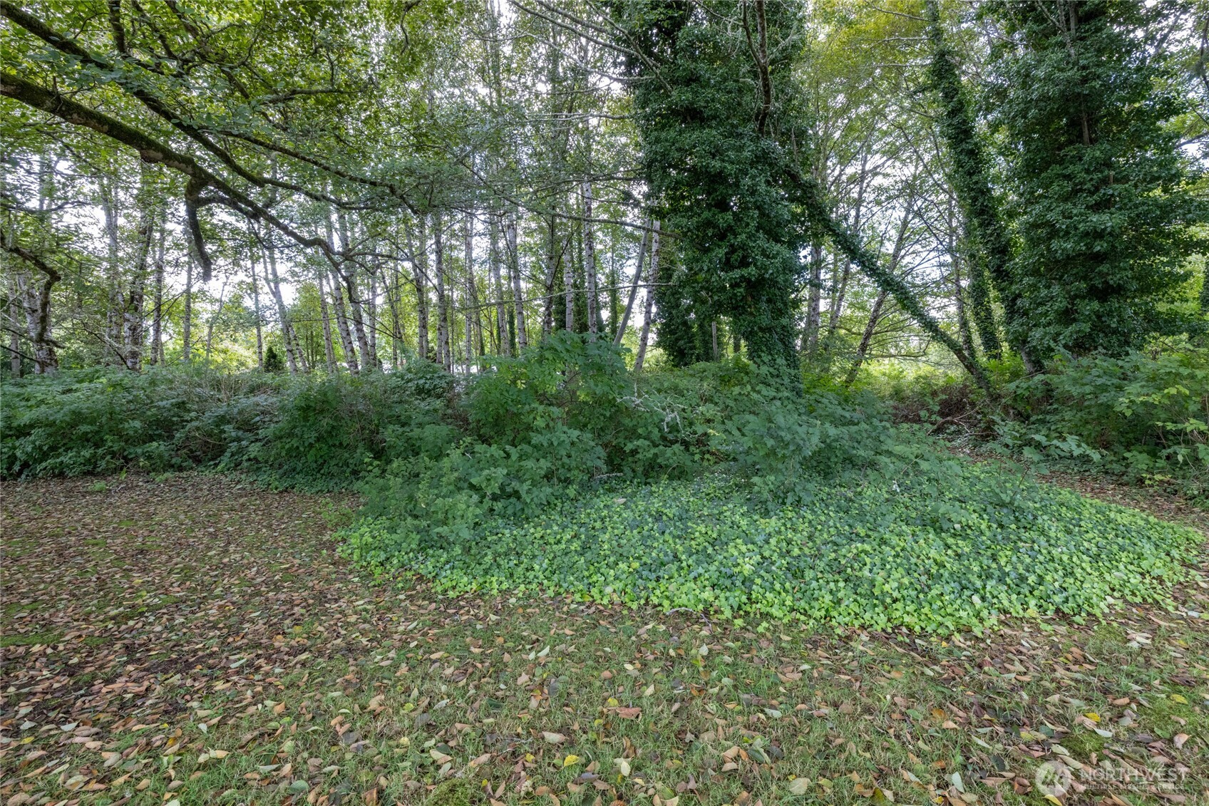 1901 Cranberry Road Property Photo 6