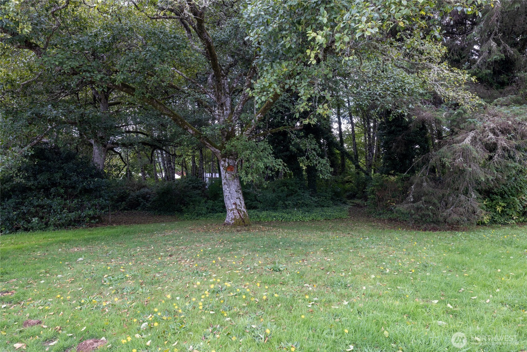 1901 Cranberry Road Property Photo 7