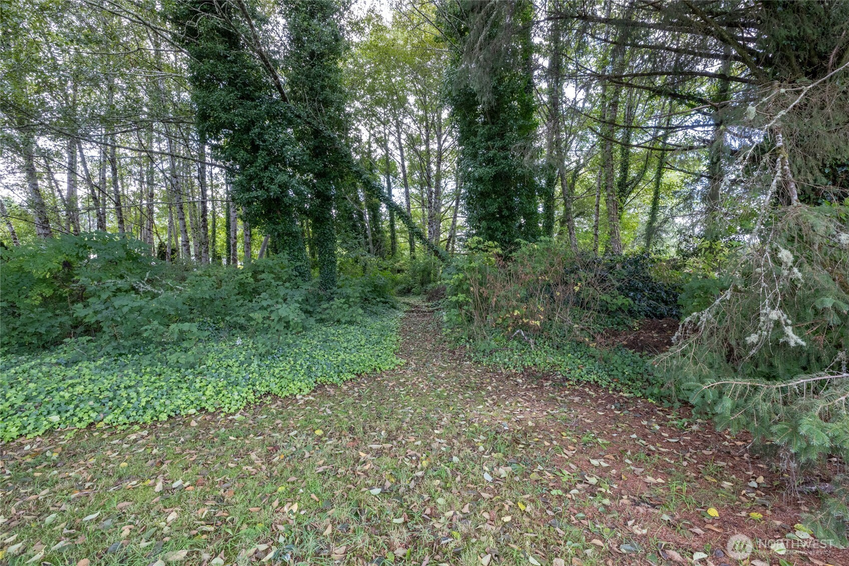 1901 Cranberry Road Property Photo 9