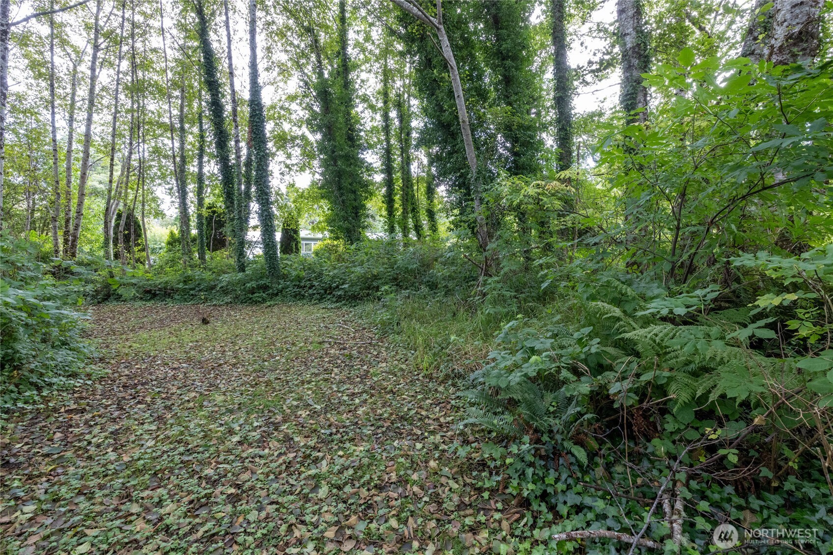 1901 Cranberry Road Property Photo 10