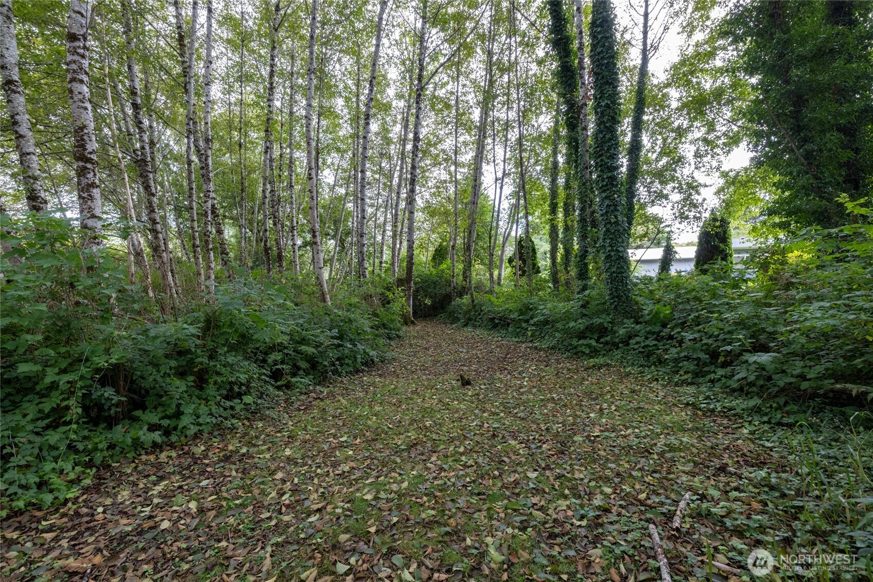 1901 Cranberry Road Property Photo 11