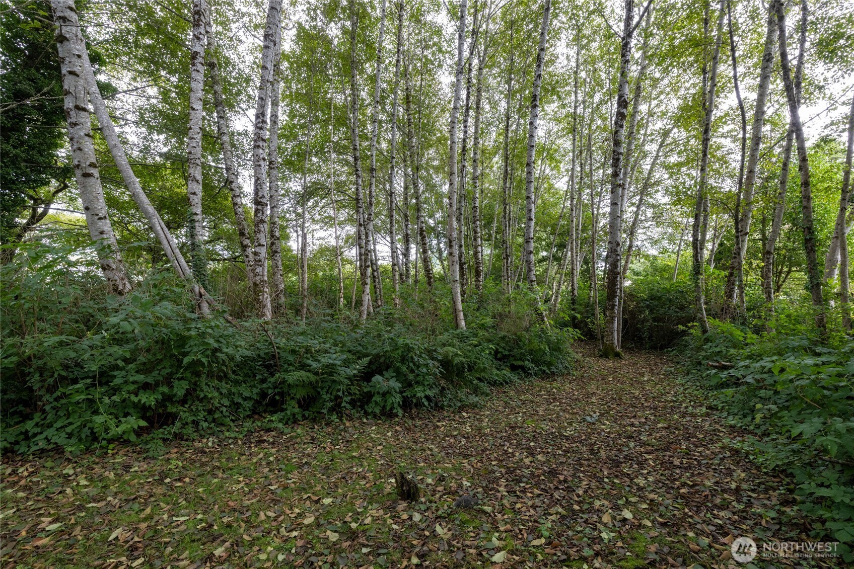 1901 Cranberry Road Property Photo 13