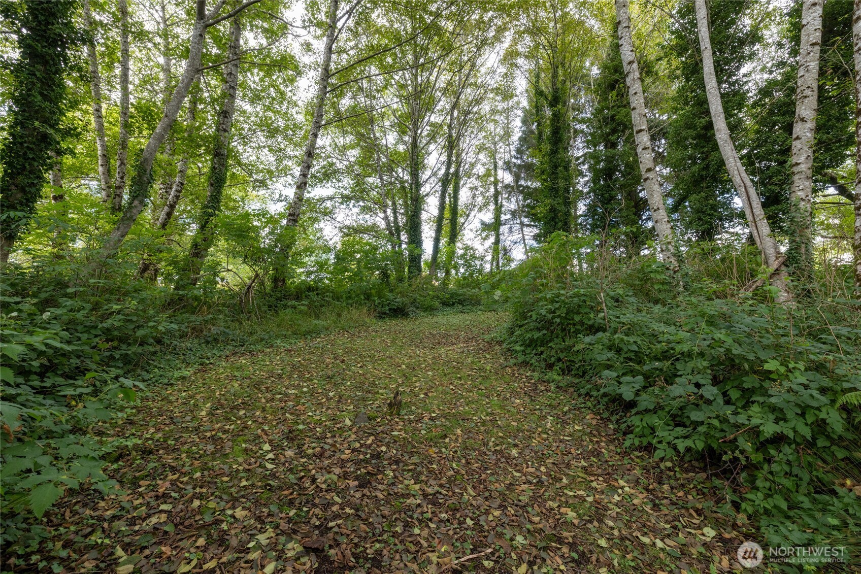1901 Cranberry Road Property Photo 14