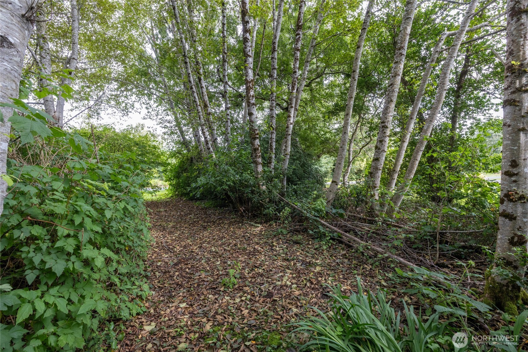 1901 Cranberry Road Property Photo 15